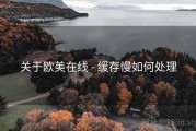 关于欧美在线 - 缓存慢如何处理