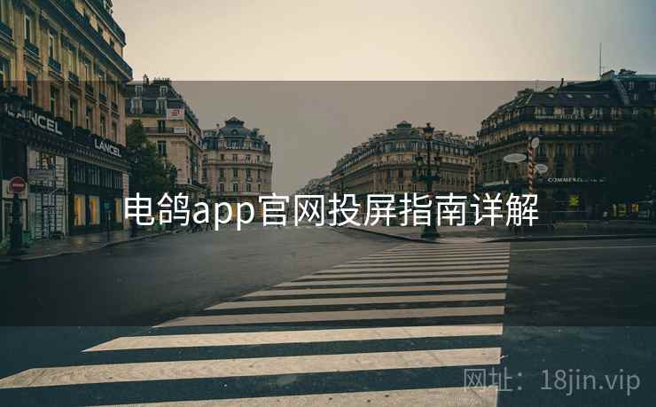 电鸽app官网投屏指南详解
