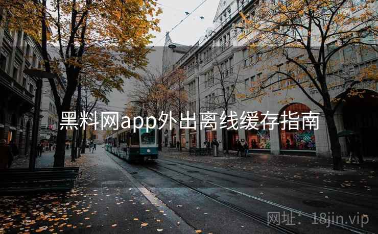 黑料网app外出离线缓存指南