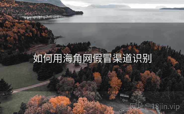 如何用海角网假冒渠道识别 如何用海角网假冒渠道识别